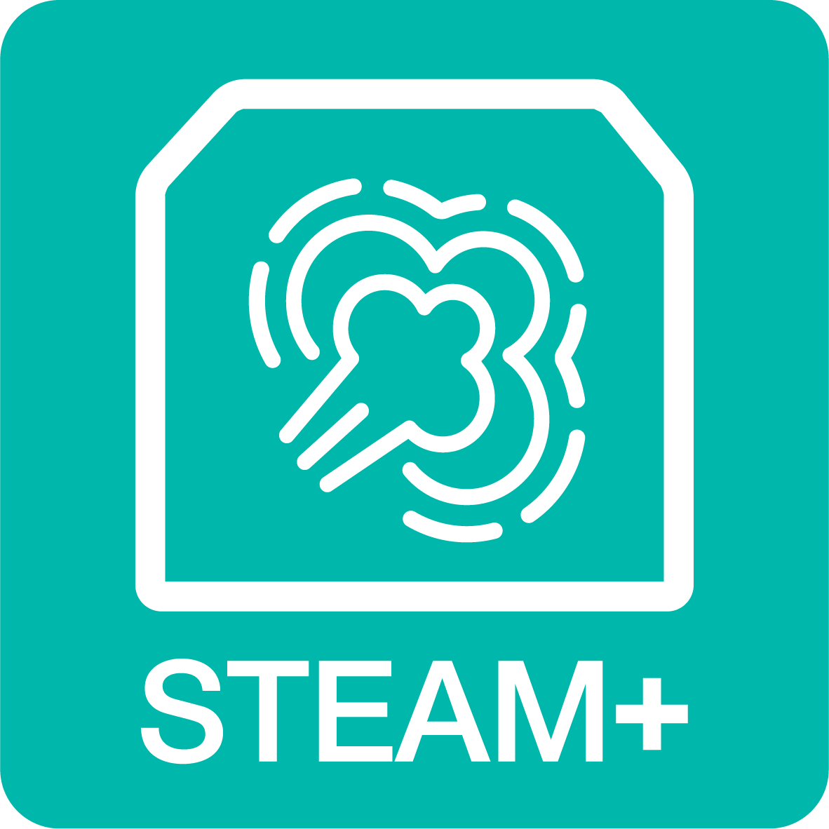 SteamAssist