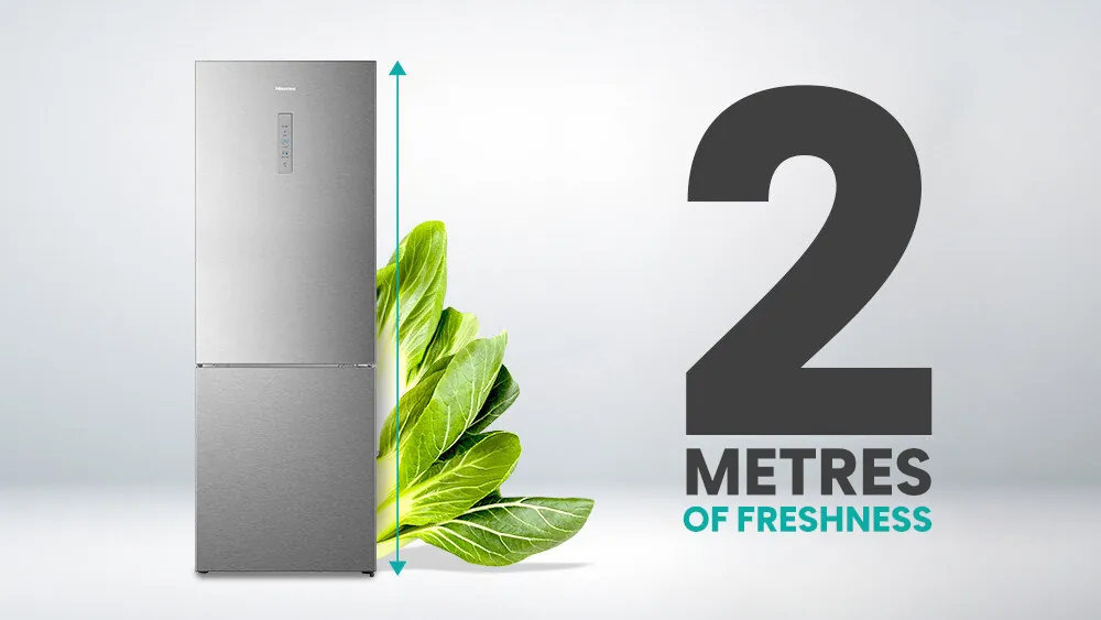 Spacious 2-metre-tall Hisense SkyLine fridge-freezer
