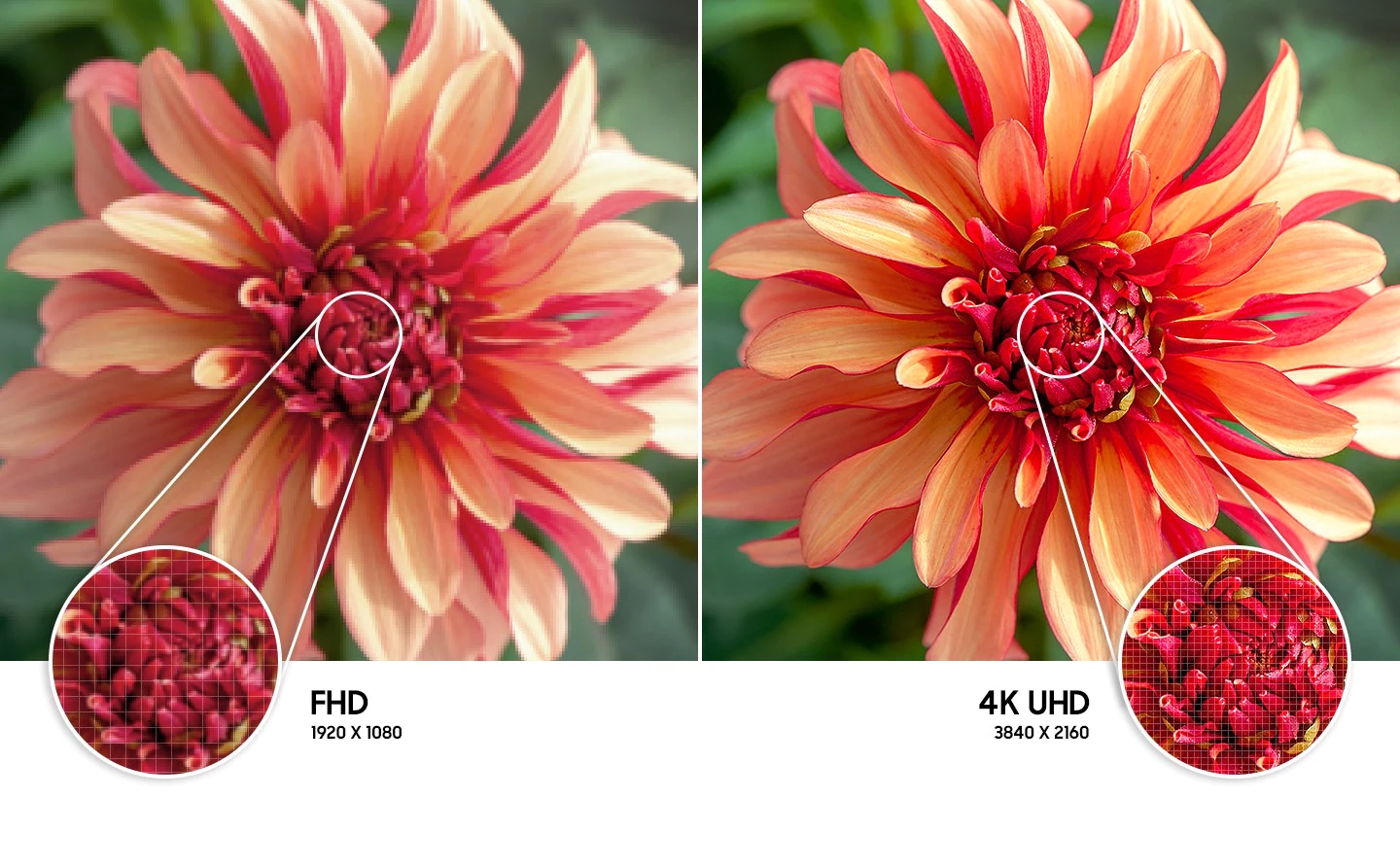 ru-feature-feel-the-reality-of-4k-uhd-re